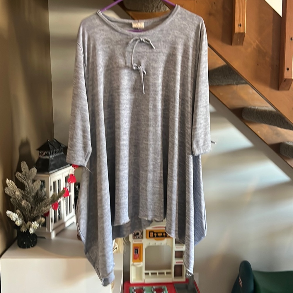 Zadie Bs tunic top